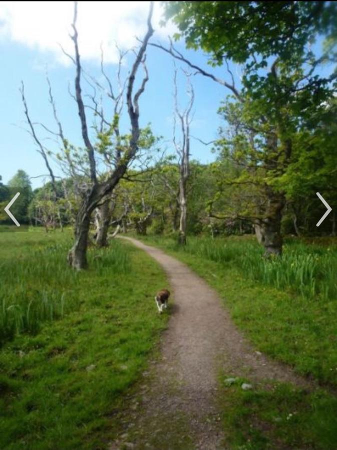 Happydays Caravan 1 Newton Stewart Whithorn Ngoại thất bức ảnh
