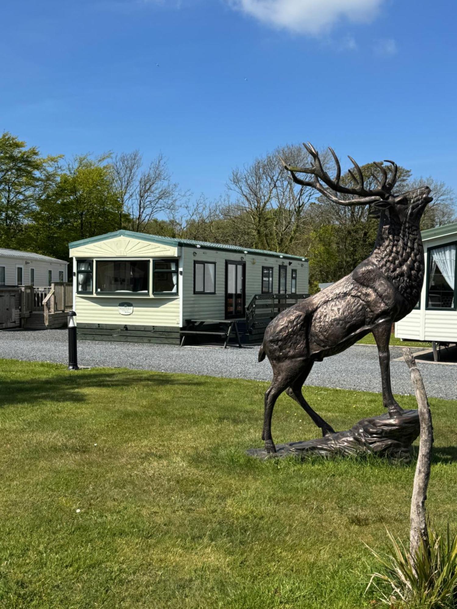 Happydays Caravan 1 Newton Stewart Whithorn Ngoại thất bức ảnh